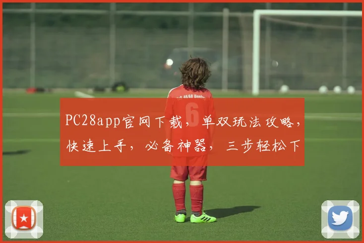 PC28app官网下载，单双玩法攻略，快速上手，必备神器，三步轻松下载，体验非凡