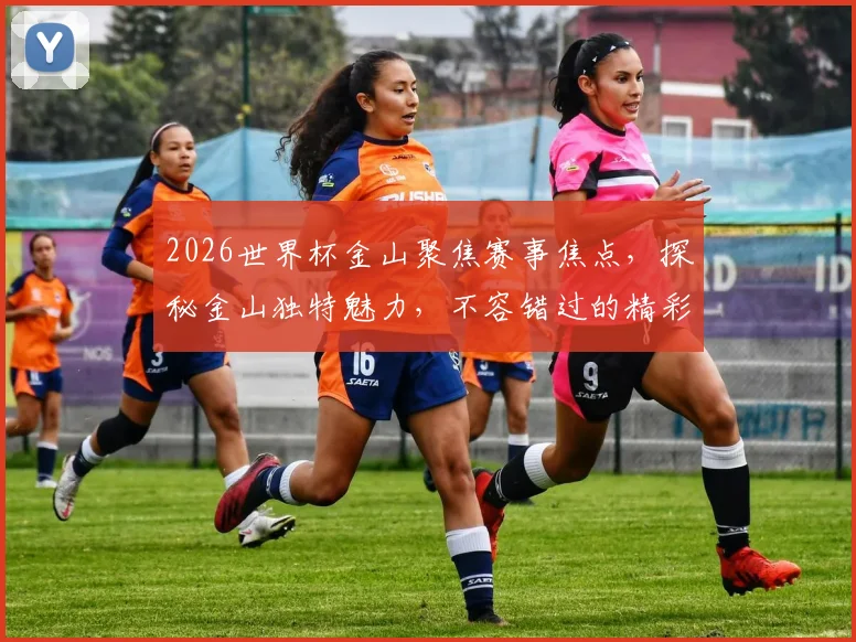 2026世界杯金山聚焦赛事焦点，探秘金山独特魅力，不容错过的精彩盛宴